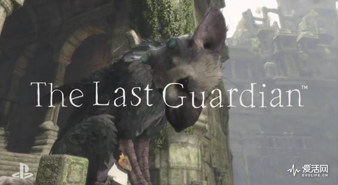 the-last-guardian