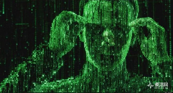 the-matrix-shades-green