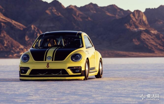 Volkswagen-Beetle-LSR-3