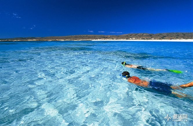 ningaloo-reef-wa-snorkelling